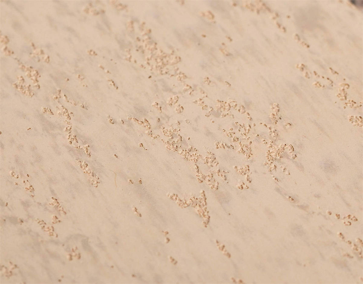 ZKO中凱 洞石涂料